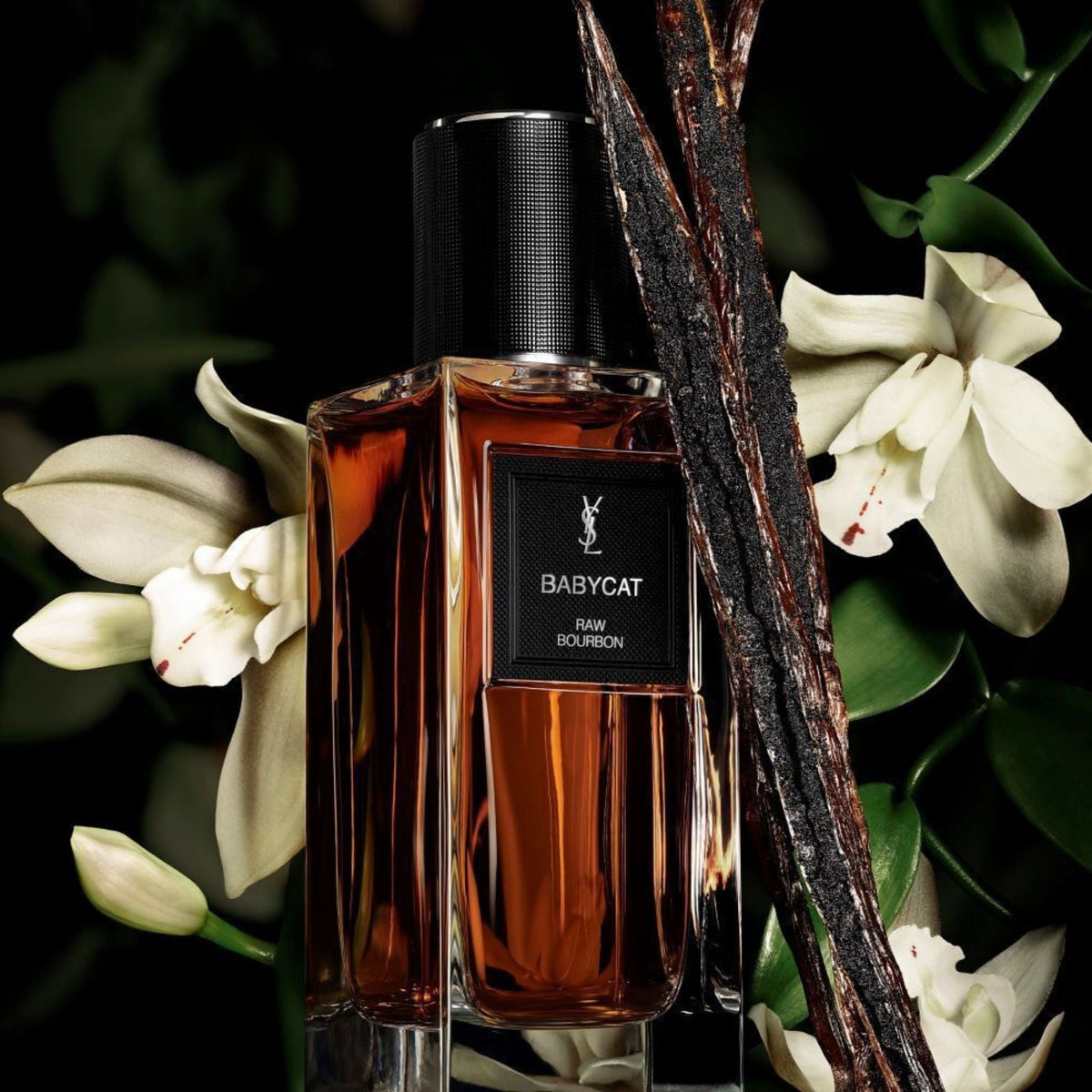 Refect Beauty Yves Saint Laurent Babycat Raw Bourbon perfume bottle surrounded by vanilla beans and white flowers