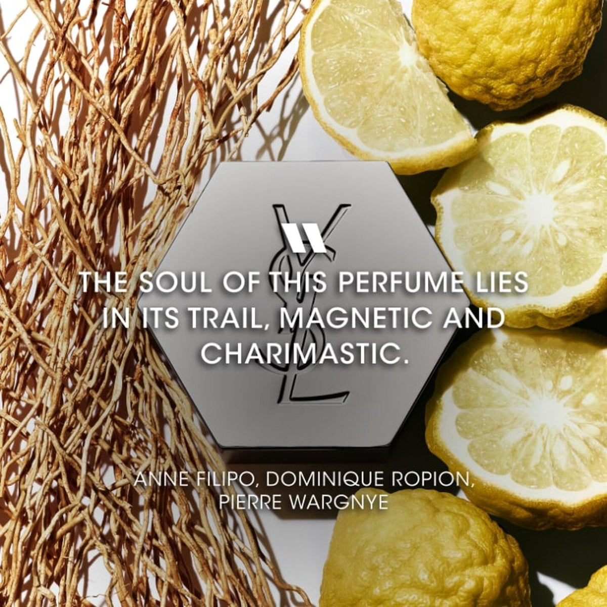 Refect Beauty Yves Saint Laurent L'homme Eau de Toilette bottle cap surrounded by fresh bergamot and vetiver roots