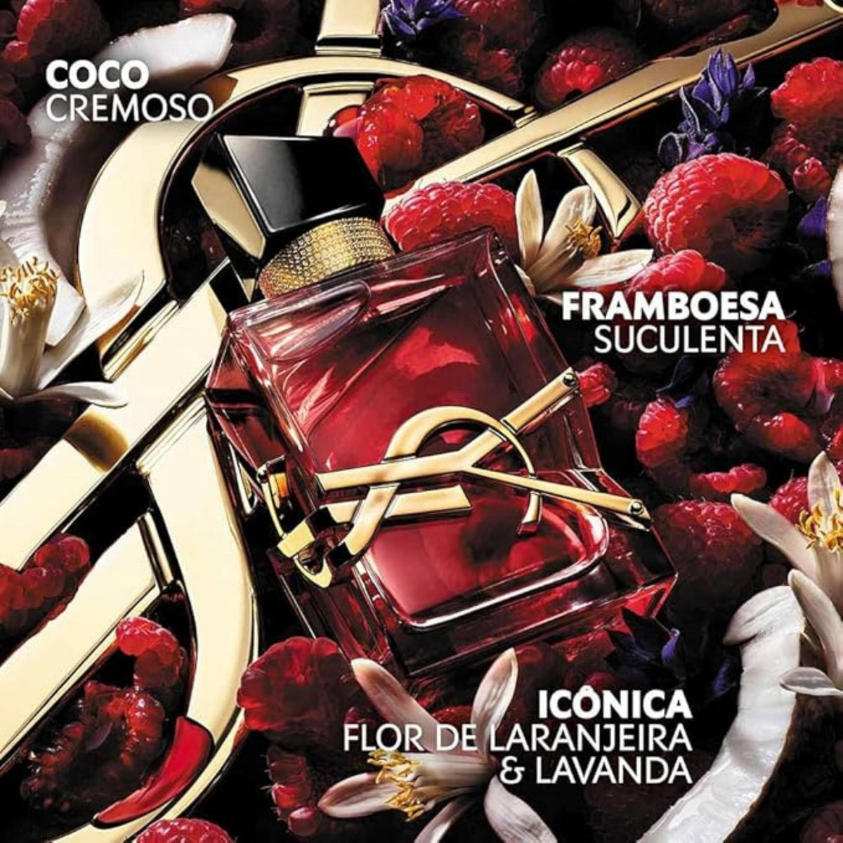 Refect Beauty Yves Saint Laurent Libre Berry Crush perfume bottle surrounded by fresh raspberries and white flowers