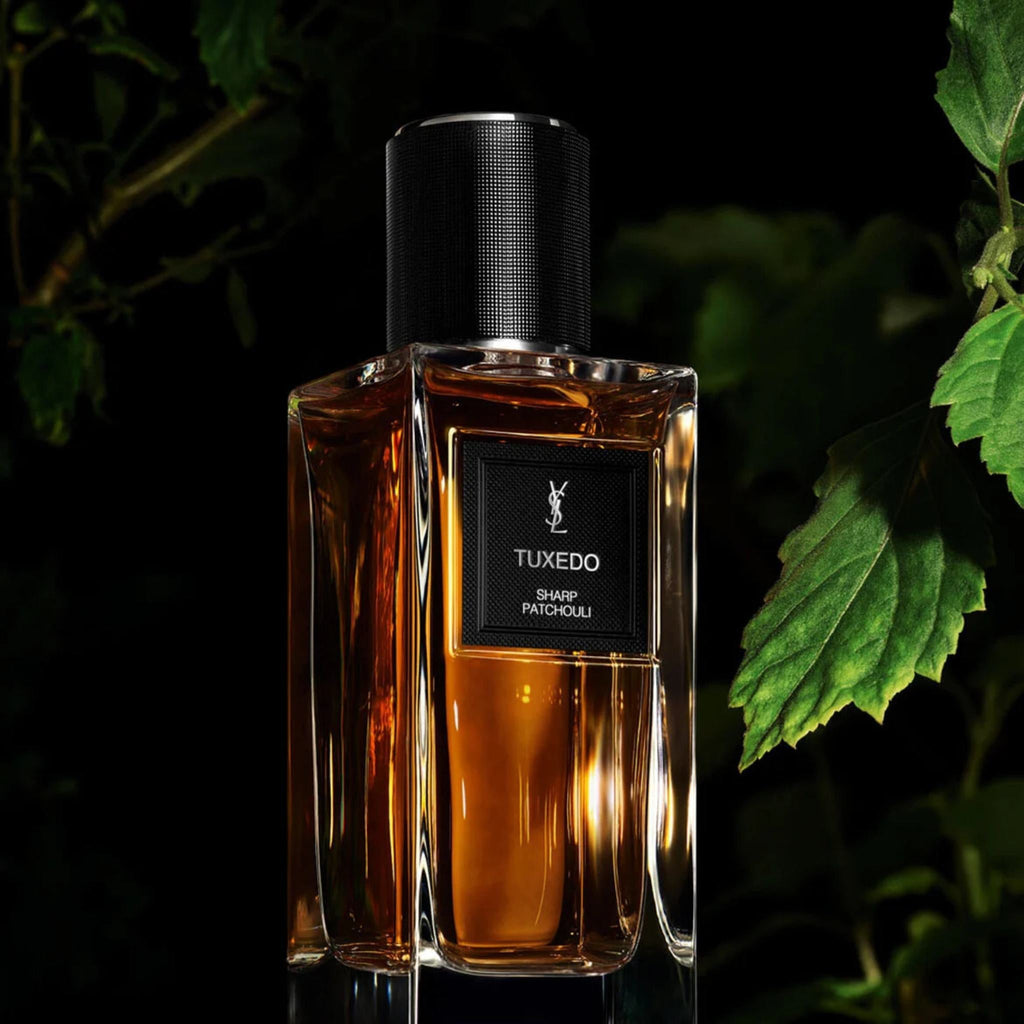 Refect Beauty Yves Saint Laurent Tuxedo Sharp Patchouli perfume bottle with amber liquid against dark foliage.