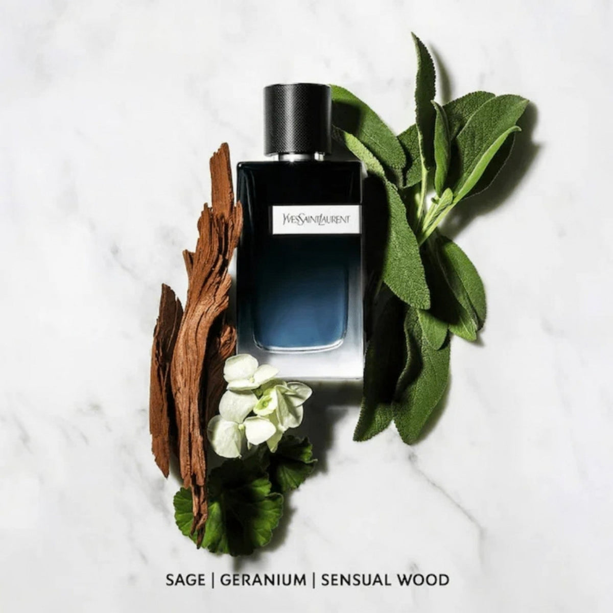 Refect Beauty Yves Saint Laurent Y Eau de Parfum bottle surrounded by sage leaves, geranium flowers, and cedar wood