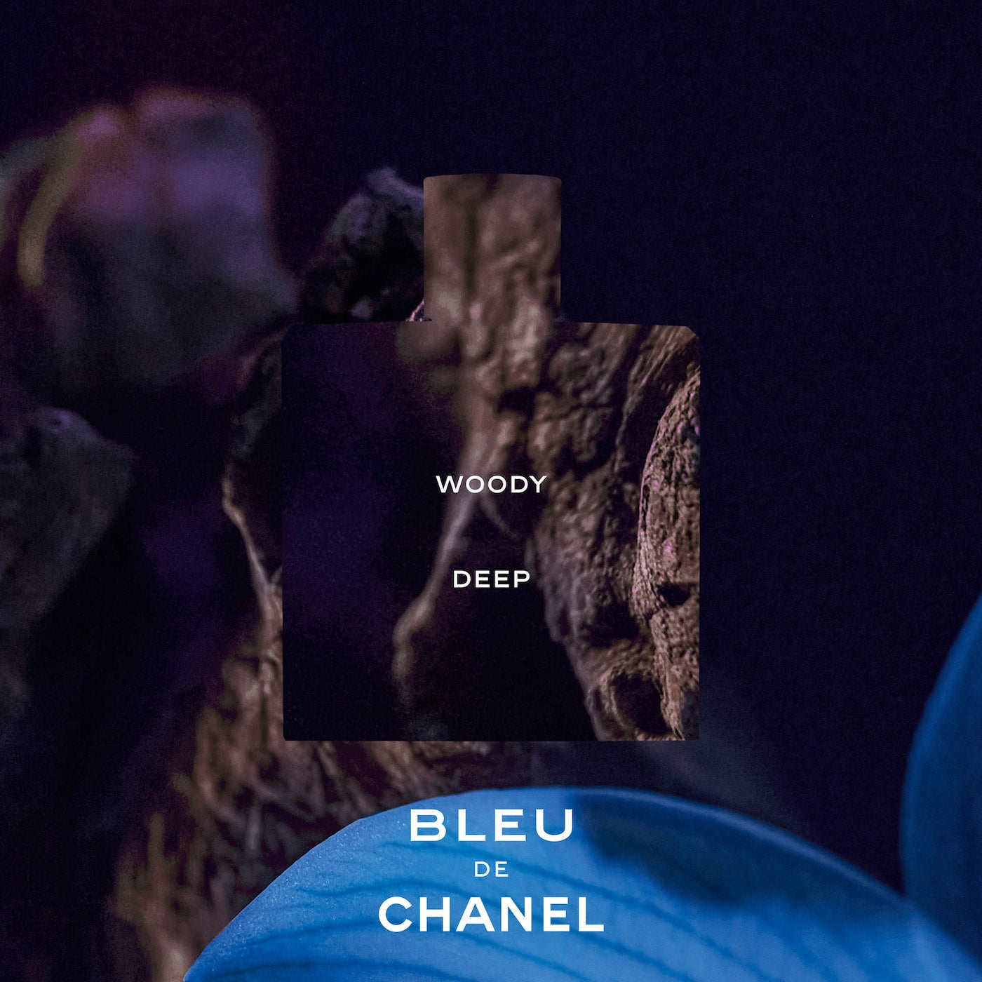 Chanel Bleu De Chanel - Parfum