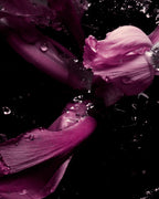 Tom Ford Fucking Fabulous - Eau de Parfum