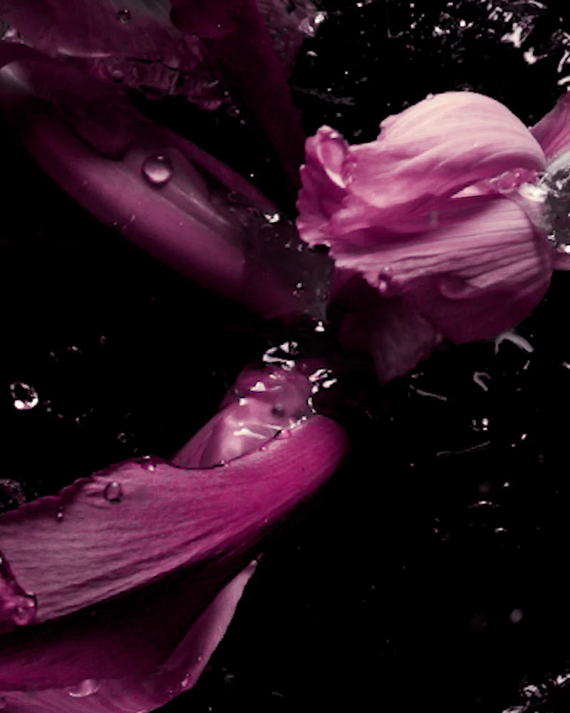 Tom Ford Fucking Fabulous - Eau de Parfum
