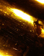 Tom Ford Noir Extreme - Eau de Parfum